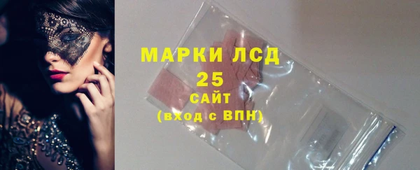 крисы Горняк