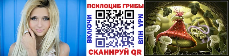 купить цена Дальнегорск Галлюциногенные грибы GOLDEN TEACHER